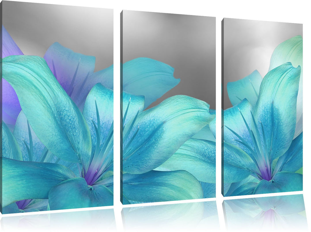 Pixxprint türkise Lilien als Leinwandbild | Grösse: 3 Teilig (120x80) | Wandbild| Kunstdruck | ferti