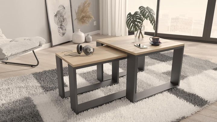MATKAM Satztisch 2er Set, Couchtisch im Industrie-Stil, hoher Beistelltisch B60 x T60 x H43,3 cm, ni