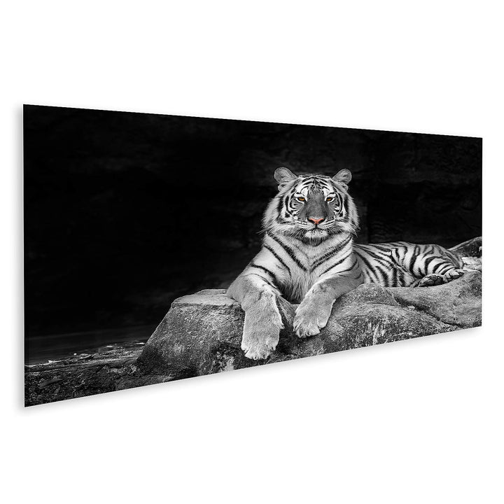 islandburner Bild auf Leinwand Weisser Tiger Bilder Wandbilder Poster Leinwand 120x40cm - Panorama,