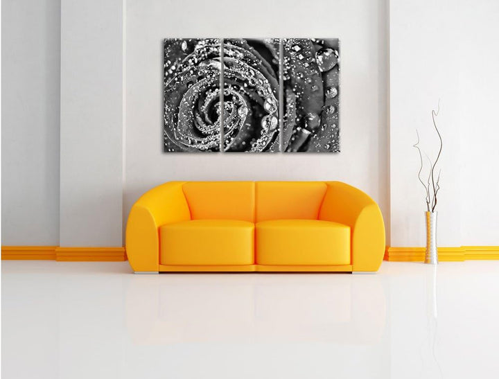 Pixxprint Monocrome, Elegante rote Rose mit Wassertropfen 3-Teiler Leinwandbild 120x80 Bild auf Lein