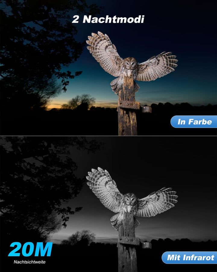 Xega 4G LTE Wildkamera Solar Akku mit SIM Karte,Überwachungskamera mit Live App Farb-Nachtsicht, 2K