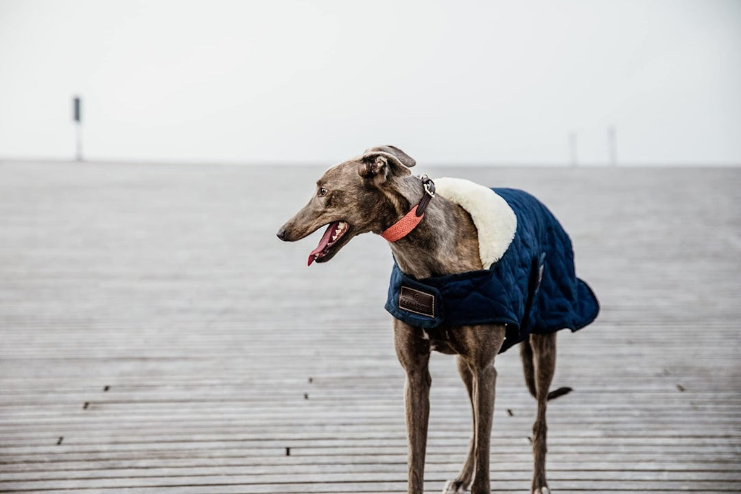 Kentucky Dogwear Hundemantel 160g, XS/navy marine XS, marine XS