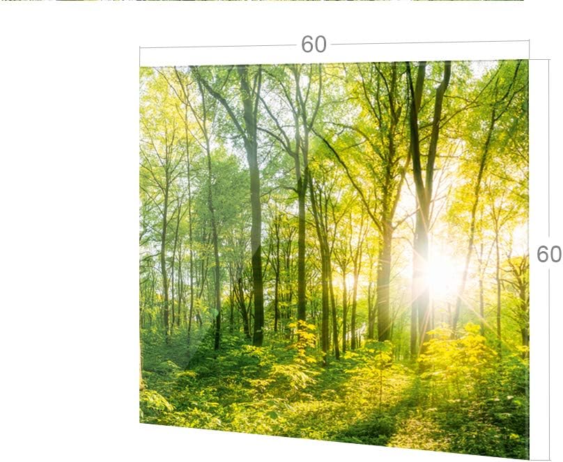 GRAZDesign Spritzschutz Küche Glas Wald, Lichtung, Bäume in Grün, Küchenrückwand Glas für Herd und S