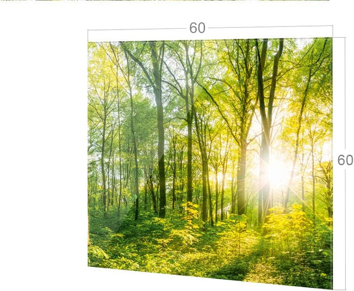 GRAZDesign Spritzschutz Küche Glas Wald, Lichtung, Bäume in Grün, Küchenrückwand Glas für Herd und S
