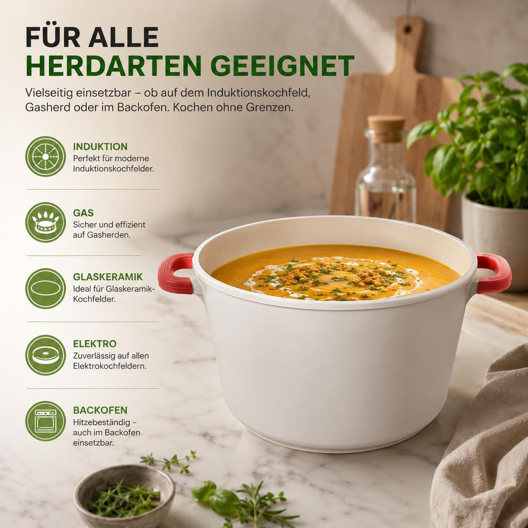 Royal Swiss® Suppentopf Ø24 cm – 6,2 L mit Glasdeckel – Edelstahl & Antihaftbeschichtung – Abnehmbar