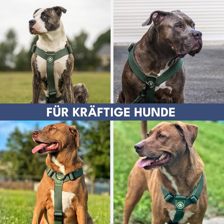 Spark Paws No Pull Hundegeschirr mit Griff für grosse Hunde, strapazierfähiges Hundegeschirr für gro