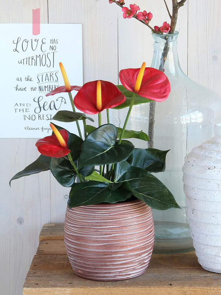 MICA Anthurium Kunstpflanze, Polyester, Rot, H 40 x Ø 30 cm