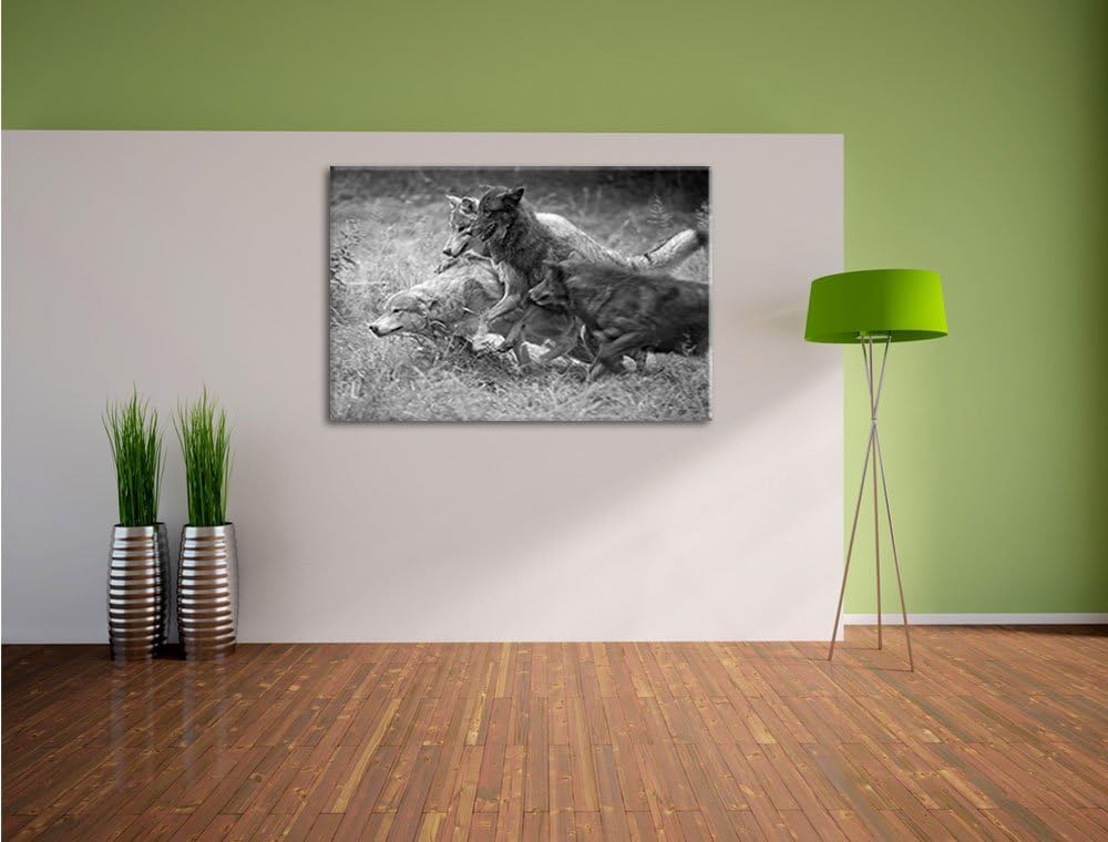 Pixxprint Tobendes Wolfsrudel als Leinwandbild/Grösse: 100x70 / Wandbild/Kunstdruck/fertig bespannt,