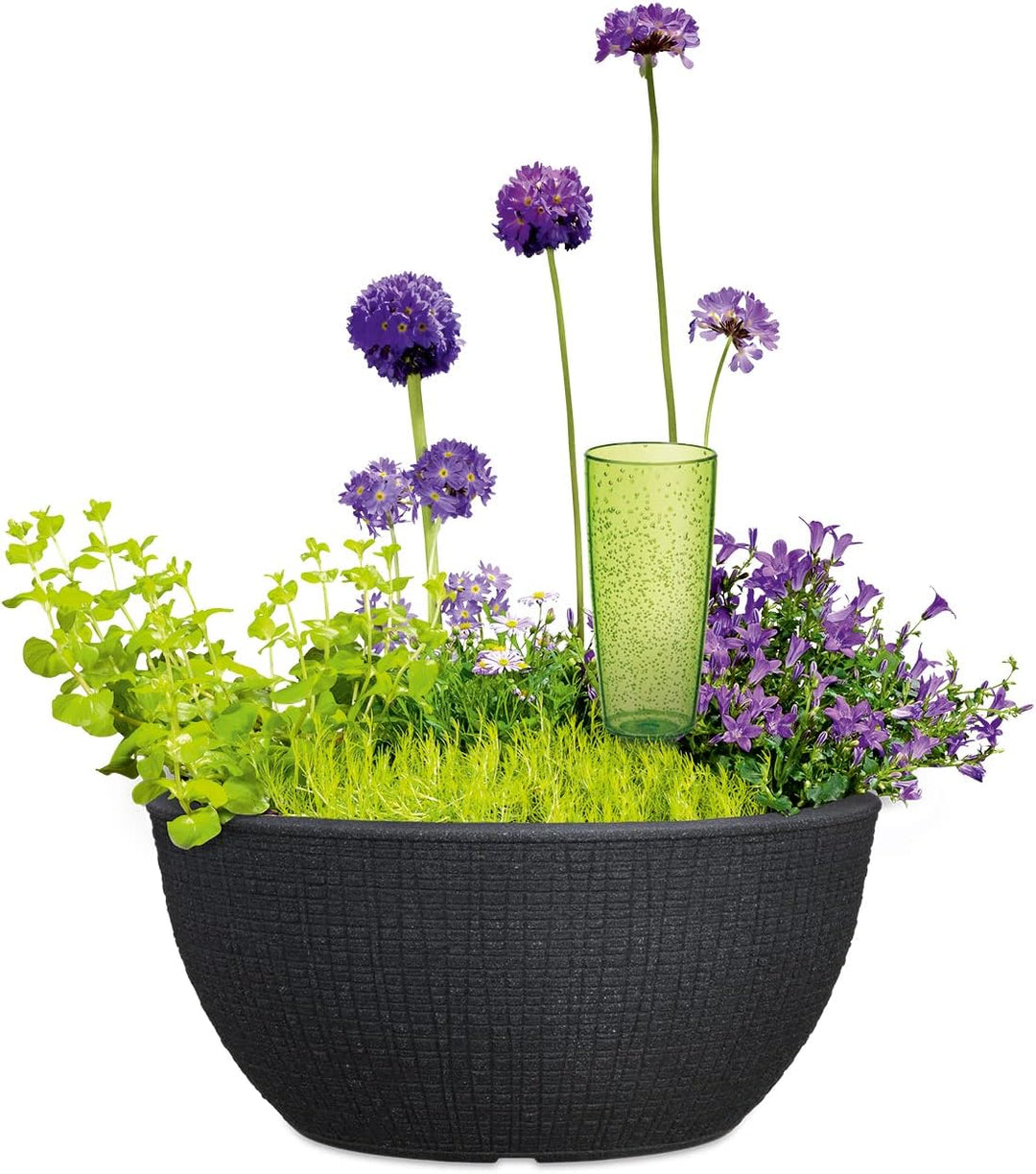 Scheurich Barceo Bowl 40, Pflanzschale/Blumentopf/Pflanzenschale, rund, Farbe: Stony Black, hergeste