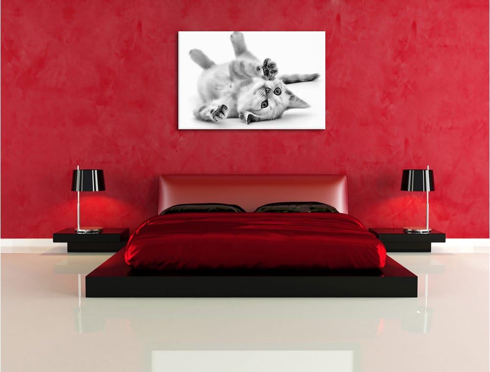 Monocrome, Kleine Katze, Format: 100x70 auf Leinwand, XXL riesige Bilder fertig gerahmt mit Keilrahm