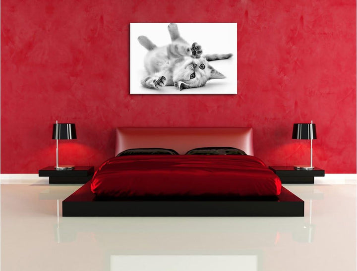 Monocrome, Kleine Katze, Format: 100x70 auf Leinwand, XXL riesige Bilder fertig gerahmt mit Keilrahm