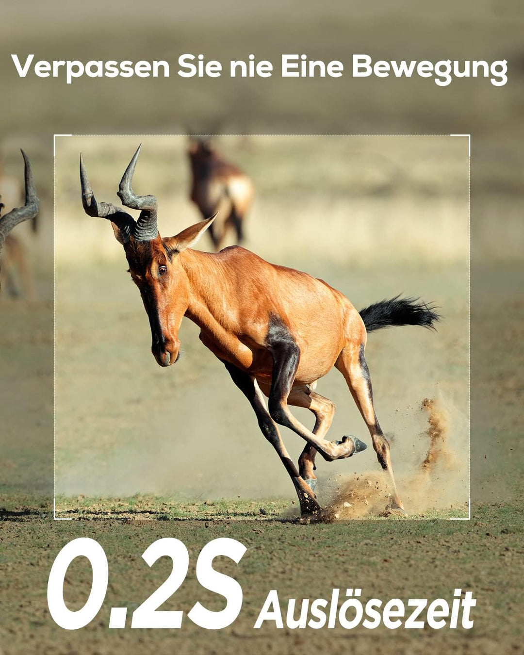 iZEEKER Wildkamera 20MP 1080P, Jagdkamera mit unsichtbaren Infrarot 940nm LEDs, IP66 Wasserdicht Bew