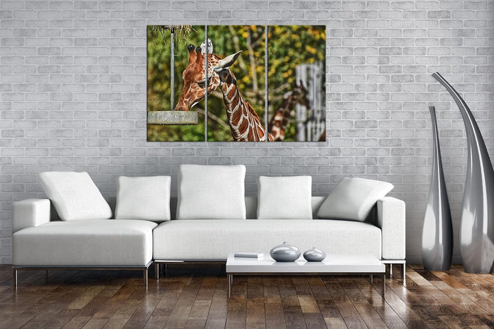 deyoli Giraffe beim Fressen Format: 3Teilig als Leinwandbild, Motiv fertig gerahmt auf Echtholzrahme