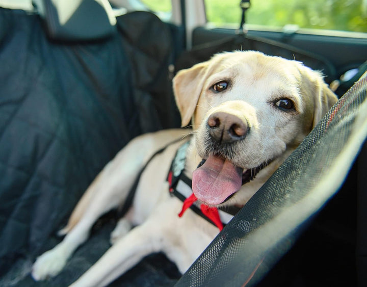 PARENCE. - Autositzbezug für Hunde – Schutzmatte für Haustiere, wasserdicht, wasserdicht – Anti-Schm