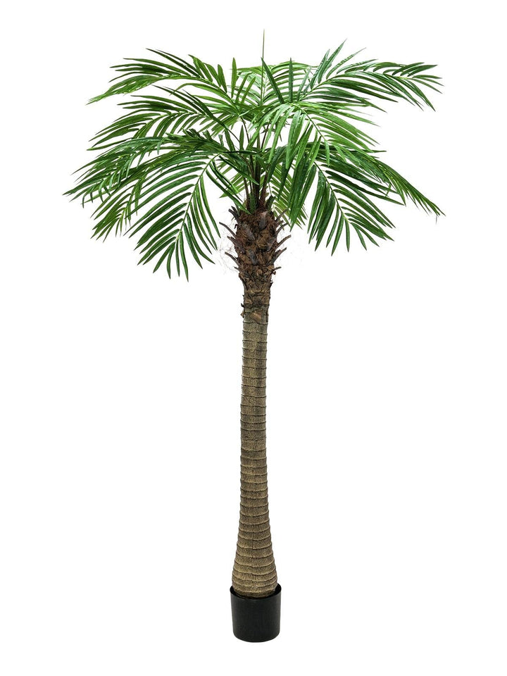 EUROPALMS Phönixpalme Luxor, Kunstpflanze, 240cm | Phönixpalme mit imposantem Blattwerk