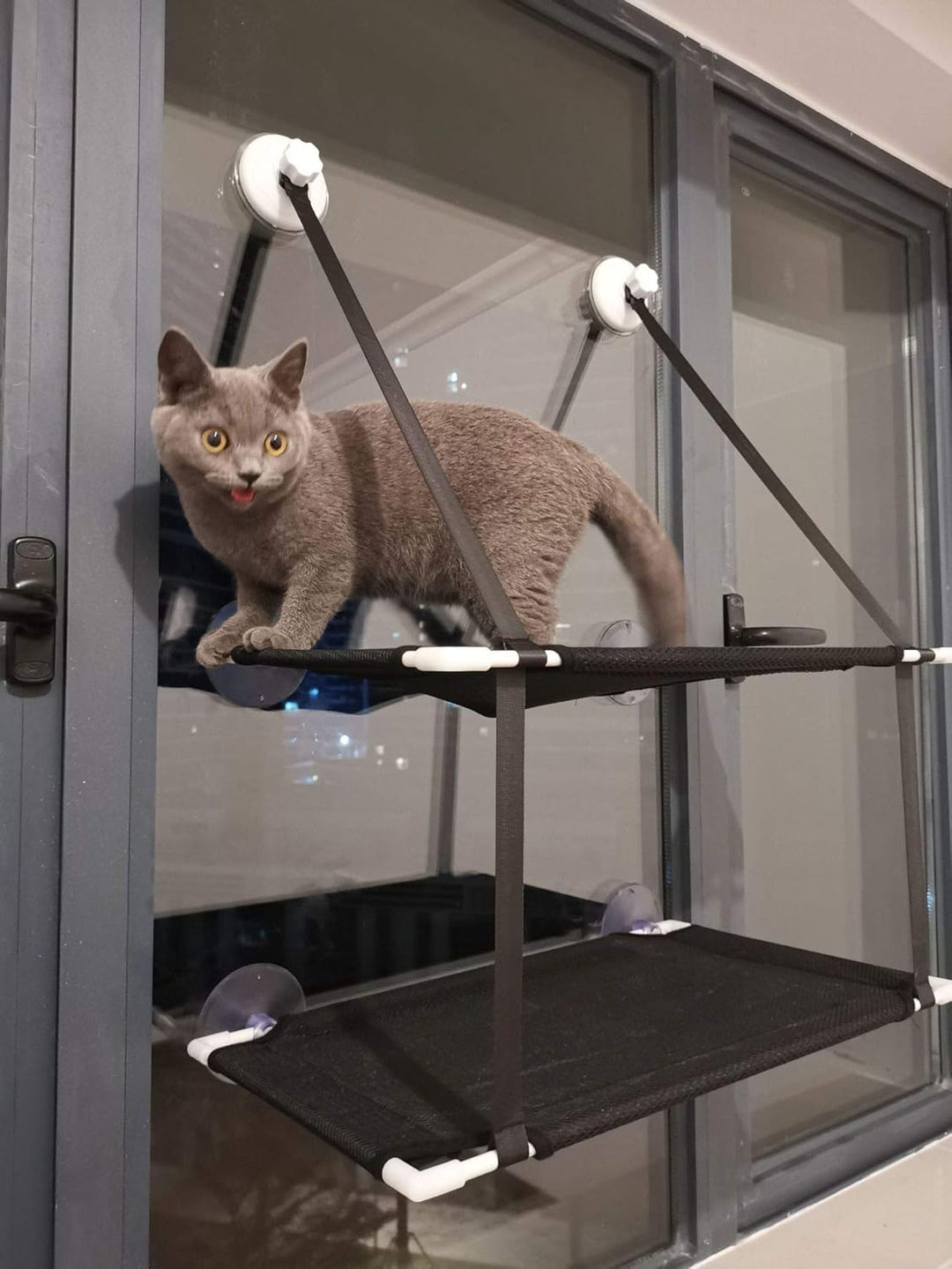 Doppellagige Katzenhängematte mit Aufhängevorrichtung, Starkem Saugnapf, Weichem Katzen-Fenstersitz