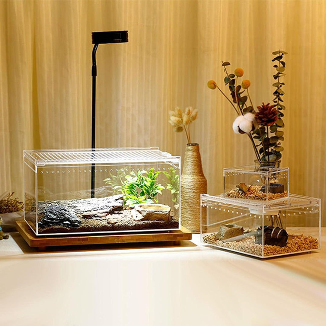 Durchsichtige Reptilienaufzuchtbox, Acryl Reptilienfutterbox, Futterbox Für Insekten Reptilien Vogel