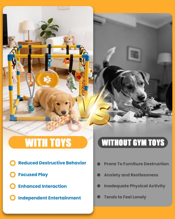 Welpen Spielgym für Kleine Hunde, 60 x 60 cm mit 12 Hängespielzeugen | Indoor Hundespielplatz mit An