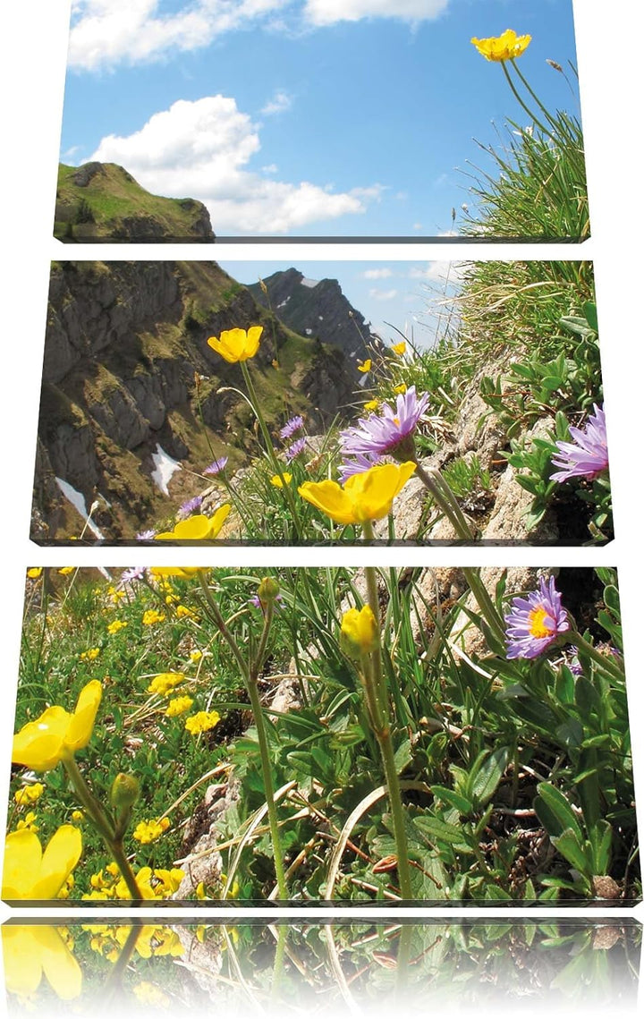 Pixxprint Blumenwiese im Frühling als Leinwandbild/Grösse: 3 Teilig (120x80) cm/Wandbild/Kunstdruck/