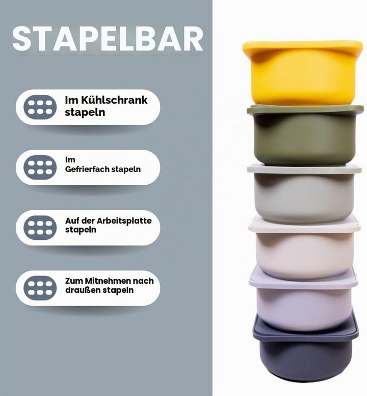 Babadoh Pizzateig-Proofing Silikonbehälter mit Deckel, Pizza-Zubehör, mehrfarbig, Blau (2 Teig, 2 Ra