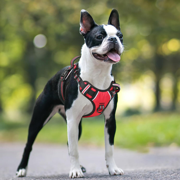 HEELE Hundegeschirr, Brustgeschirre für Hunde, Laufgeschirre Hund mit abschliessbarem Schnappverschl