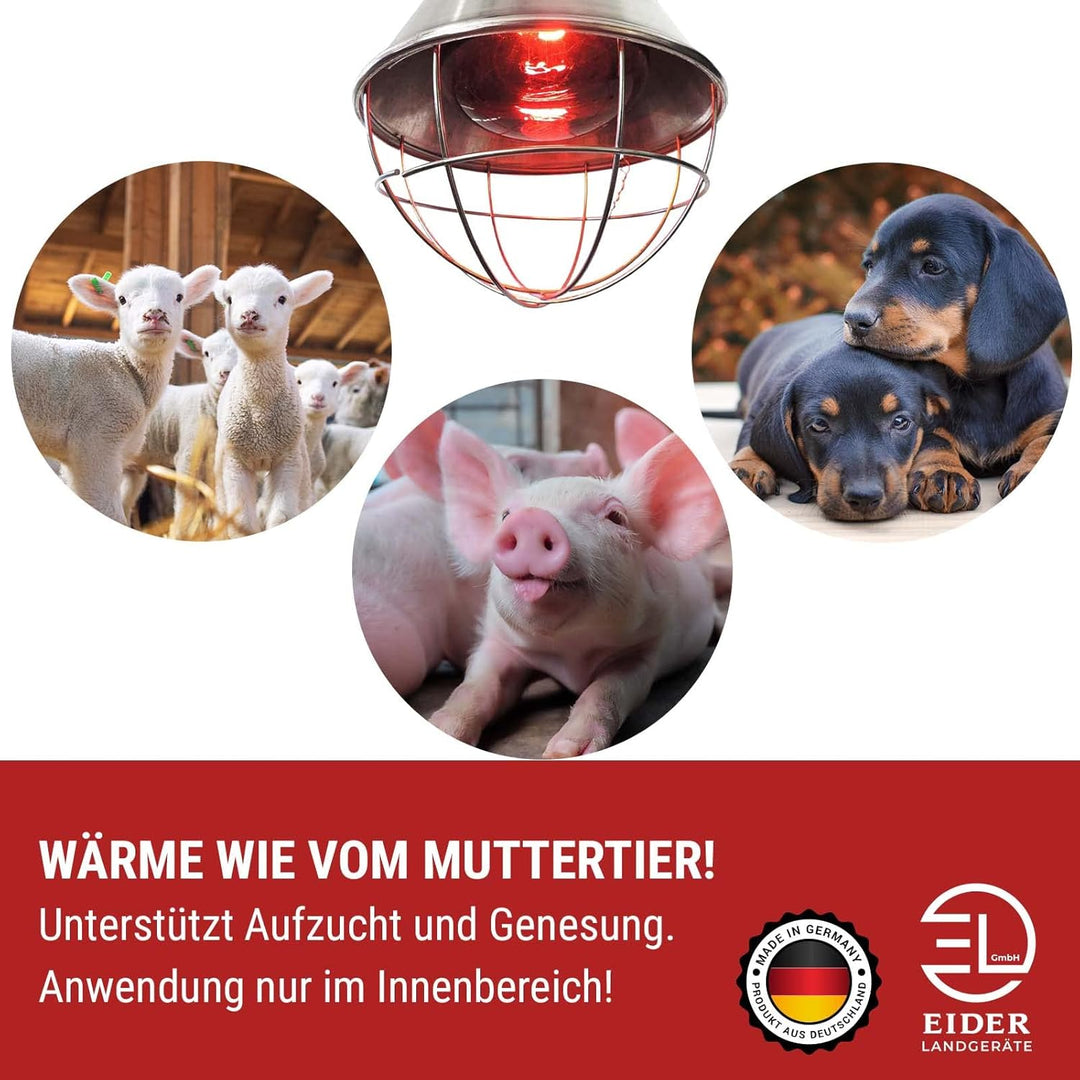 Koll Living Infrarot-Wärmestrahlgerät 150W mit/ohne Leuchtmittel, Kückenlampe, Schweinelampe (5,0 m