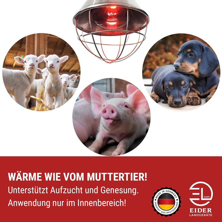 Koll Living Infrarot-Wärmestrahlgerät 150W mit/ohne Leuchtmittel, Kückenlampe, Schweinelampe (5,0 m