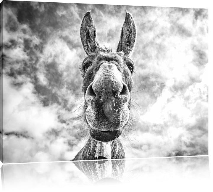 Lustiger Esel Kunst B&W, Format: 100x70 auf Leinwand, XXL riesige Bilder fertig gerahmt mit Keilrahm