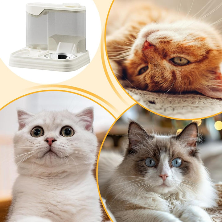 Automatische Hundefutterautomatik, Futterautomat Katze Mit Integriertem Wasserspender, 2-in-1 Kombi
