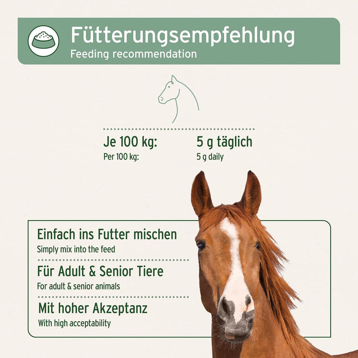 AniForte Afrikanische Teufelskralle für Pferde 1 kg – Natürliches Gelenkpulver für Pferde, Teufelskr