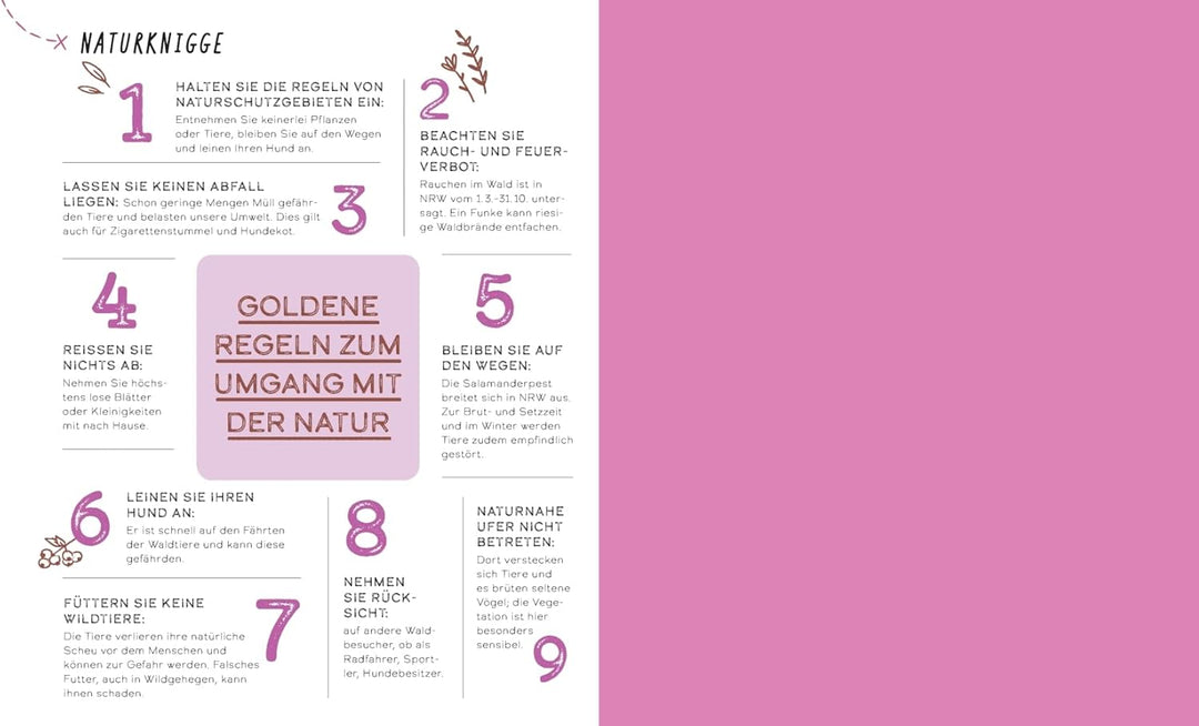 Auszeiten für die Seele im Ruhrgebiet: 33 Orte zum Innehalten, Lauschen und Aufblühen, Taschenbuch