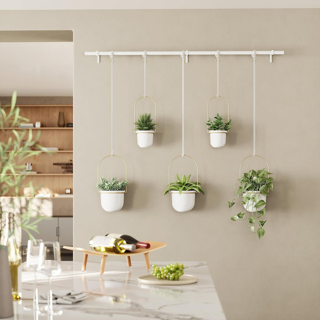 Umbra Triflora Vase, Hängeblumentopf, Wandvase, Blumenampel für Wand- und Deckenanbringung, 5er-Set,