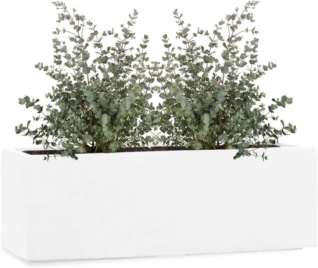 Pflanzwerk® Pflanzkübel Fiberglas Weiss TUB 17x50x17cm *Frostbeständige Blumenkübel* *Deutsche Premi