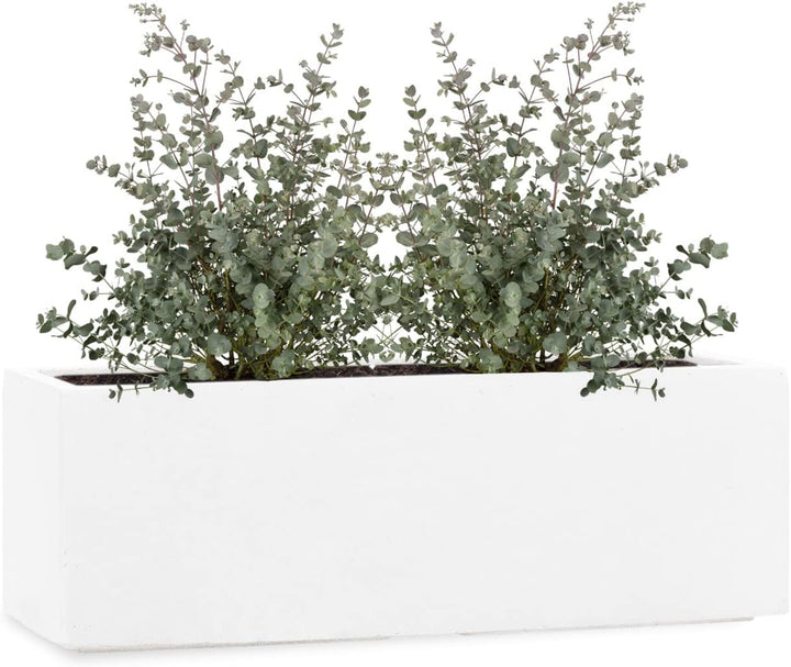 Pflanzwerk® Pflanzkübel Fiberglas Weiss TUB 17x50x17cm *Frostbeständige Blumenkübel* *Deutsche Premi