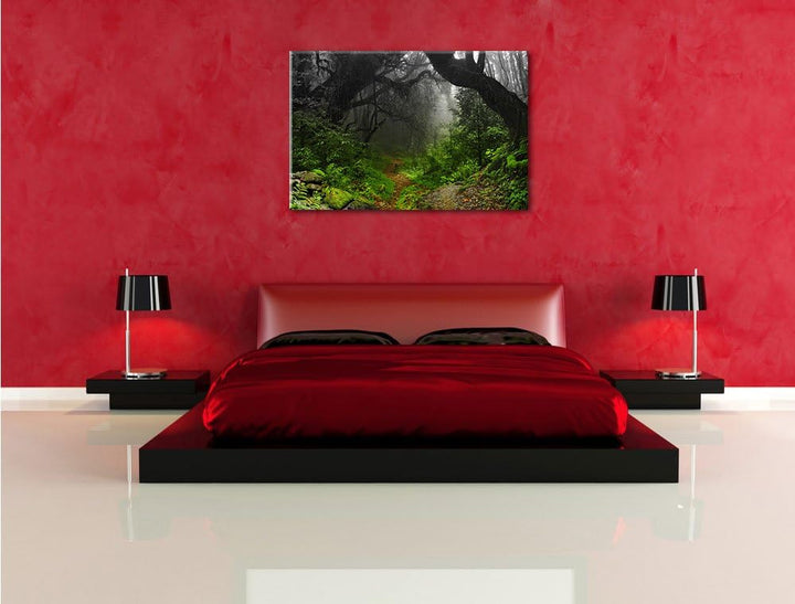 Pixxprint Mystischer Regenwald Schwarz/Weiss, Format: 100x70 auf Leinwand, riesige Bilder fertig ger