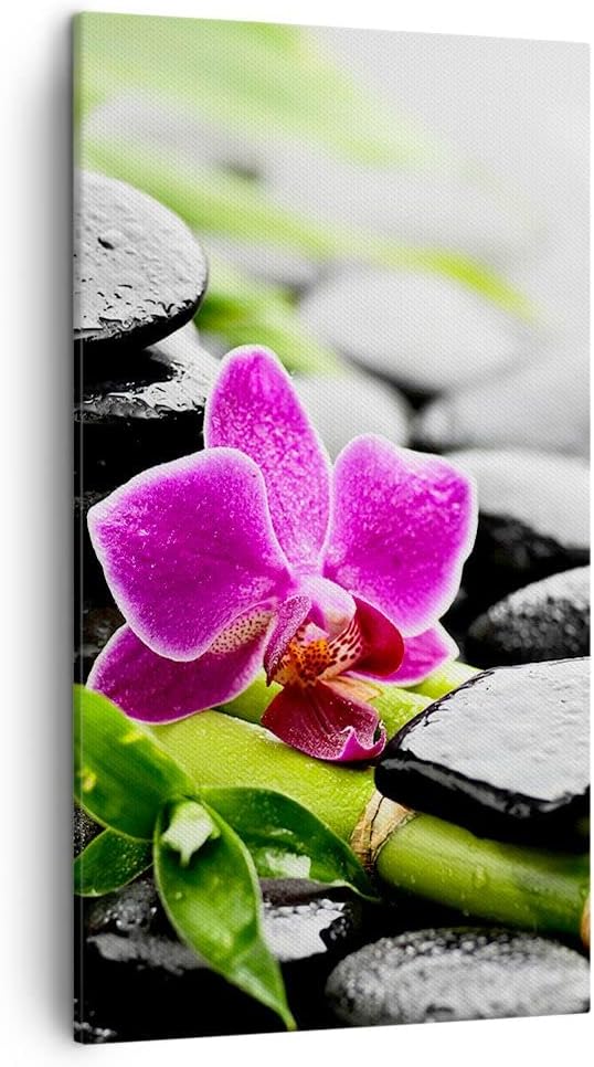 Bilder auf Leinwand Pflanze Steine Bambus Spa Leinwandbild mit Rahmen 45x80cm Wandbilder Dekoration