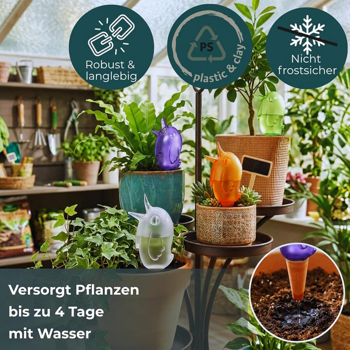 Scheurich Wasserspender Bördy M | 4er Set Lila/Grün/Transparent/Orange | 220 ml Füllmenge | Bewässer