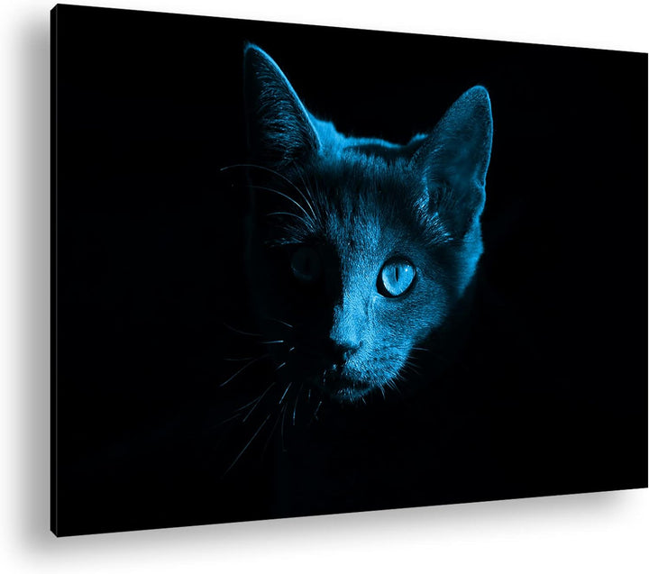 deyoli Dark Schwarze Katze Format 80x60 Effekt: Monocrome Blau als Leinwandbild, Motiv fertig gerahm