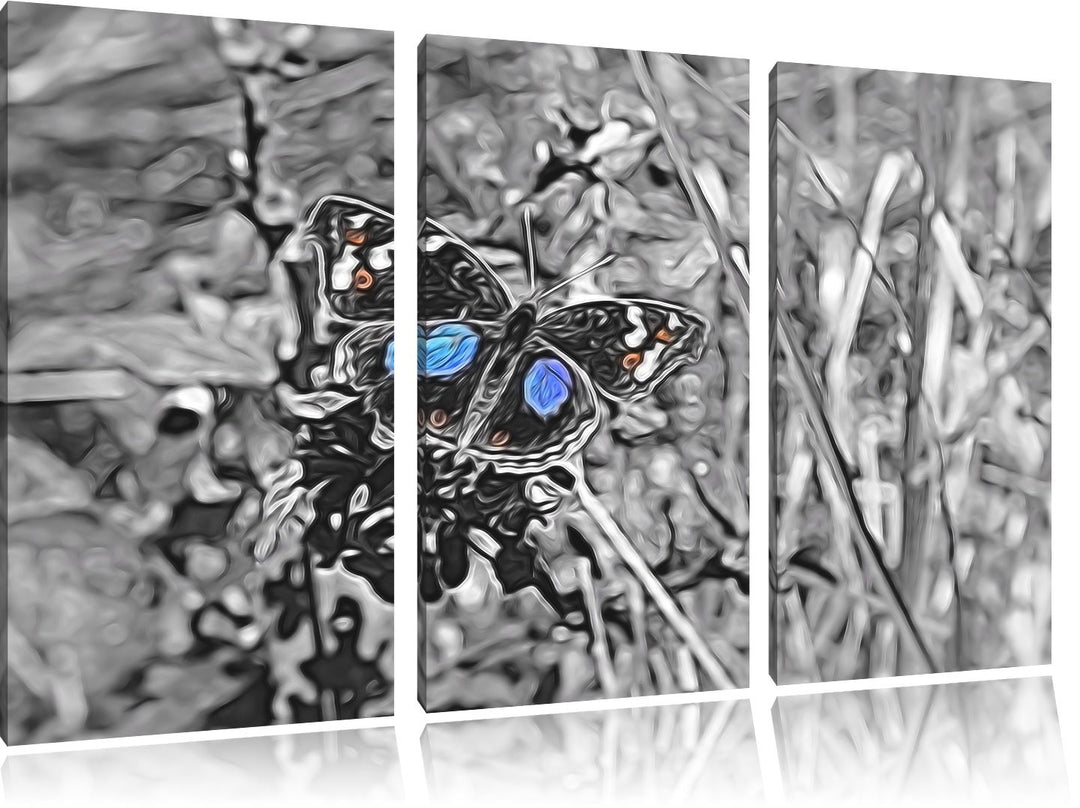 aussergewöhnlicher Schmetterling auf Grashalm schwarz/weiss Spezial 3-Teiler Leinwandbild 120x80 Bil