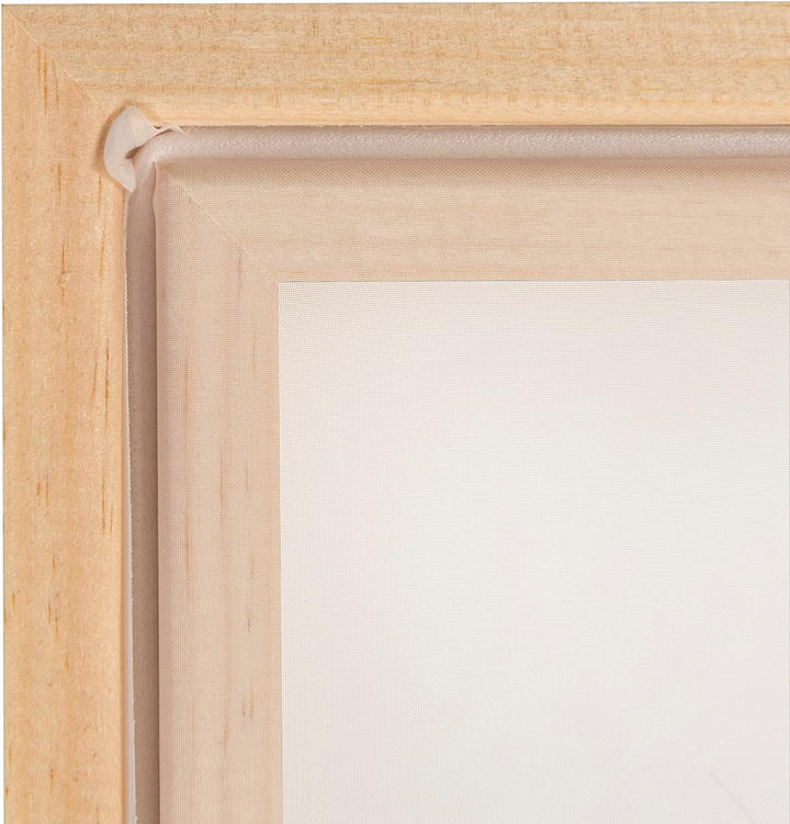 Speedball Assembled Frame W/Fabric 110 Monofilament Screen-8"X10" 8 x 10 Inches, 8 x 10 Inches