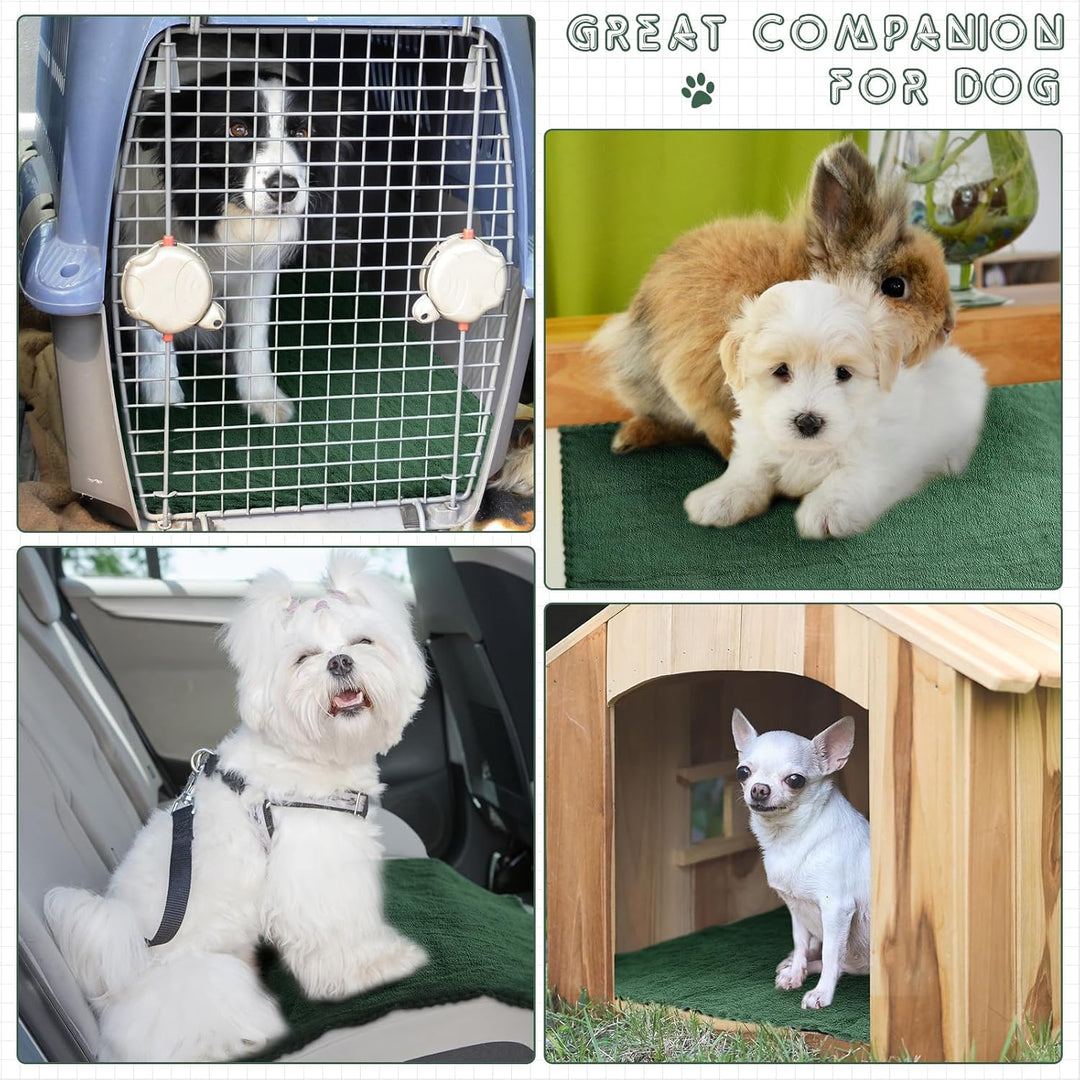 Panelee 10 Stück Waschbare Haustier Decken für Hunde Meerschweinchen Hase Katze Wasserdichtes Kleint