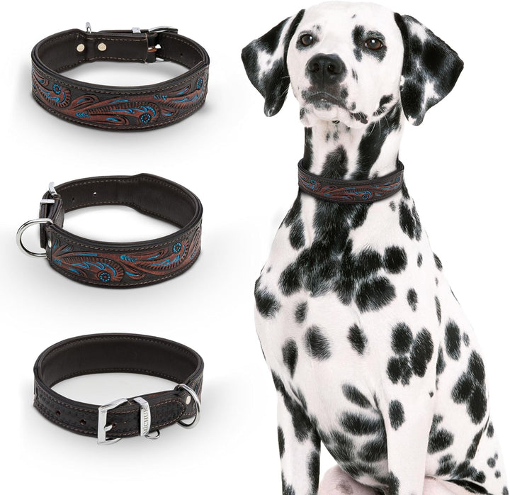 MICHUR Luis Hundehalsband Leder, Lederhalsband Hund, Halsband, Braun mit blauen Akzenten und schönem