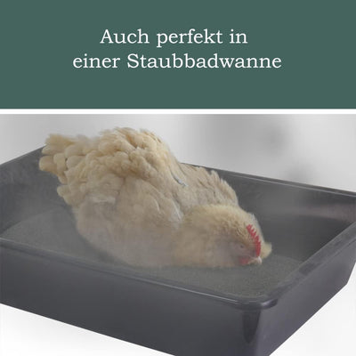 Petigi Urgesteinsmehl 25 kg Geflügeleinstreu Staubbad Sandbad Steinmehl Zeolith für Hühner Wachteln