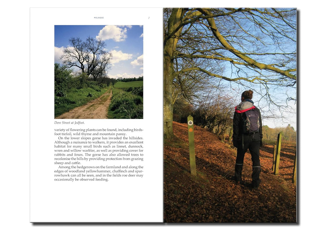 St Cuthbert's Way: The Official Guide, Taschenbuch