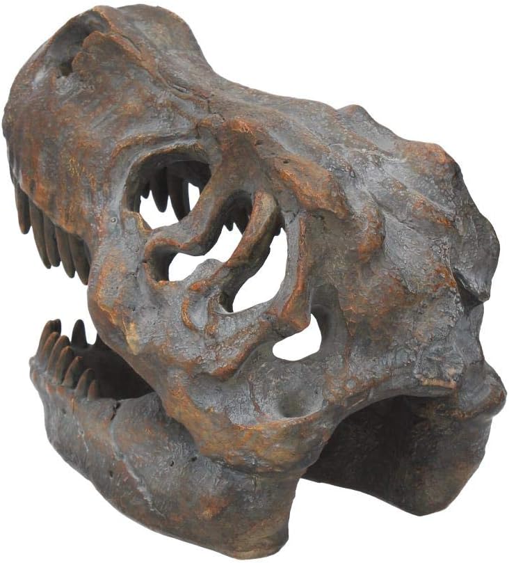 Nemesis Now Figur Tyrannosaurus Rex Totenkopf, freistehend, 18,5 cm, Grau