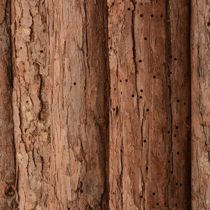 CKB LTD Fledermaus-Haus aus Holz, für den Aussenbereich, für den Aussenbereich, auch für Überwinteru