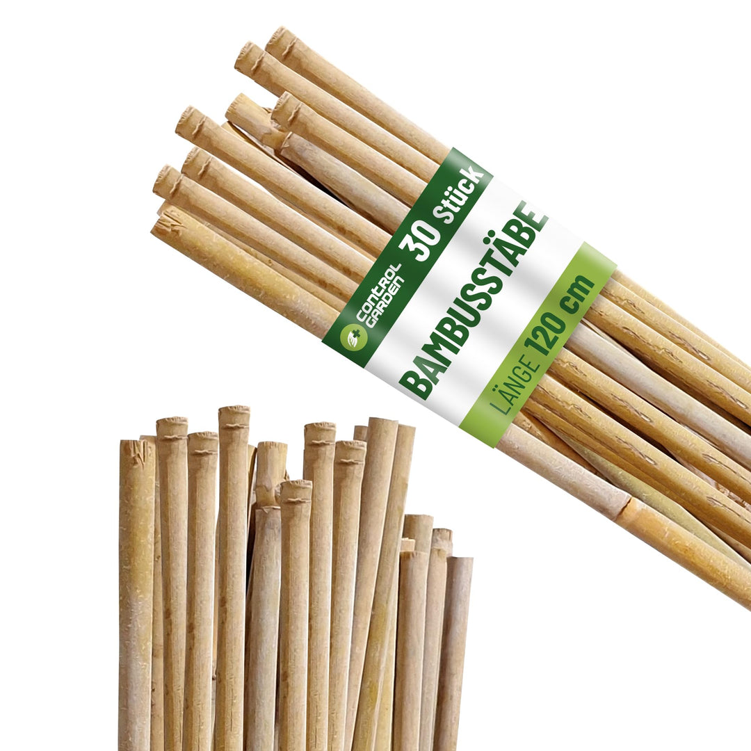 Control Garden Pack 30 Stück Bio Bambus Tutor 120 cm | Naturpfahl Zuckerrohr Pflanzenhalter Gartenst