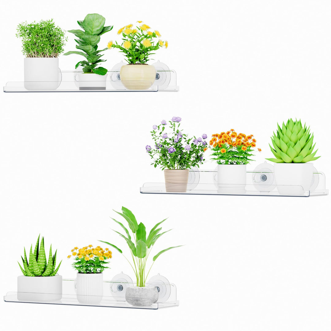 Lifewit Fenster Pflanzenregale, 3 Stück, 38cm, Transparent Regal Saugnapf, Fensterwand Pflanzenständ