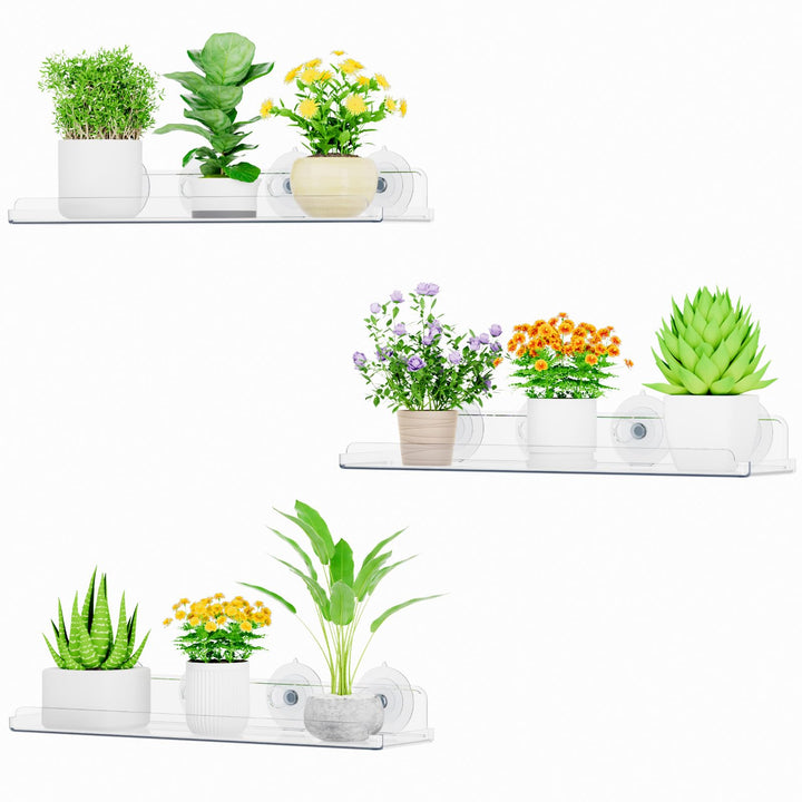 Lifewit Fenster Pflanzenregale, 3 Stück, 38cm, Transparent Regal Saugnapf, Fensterwand Pflanzenständ