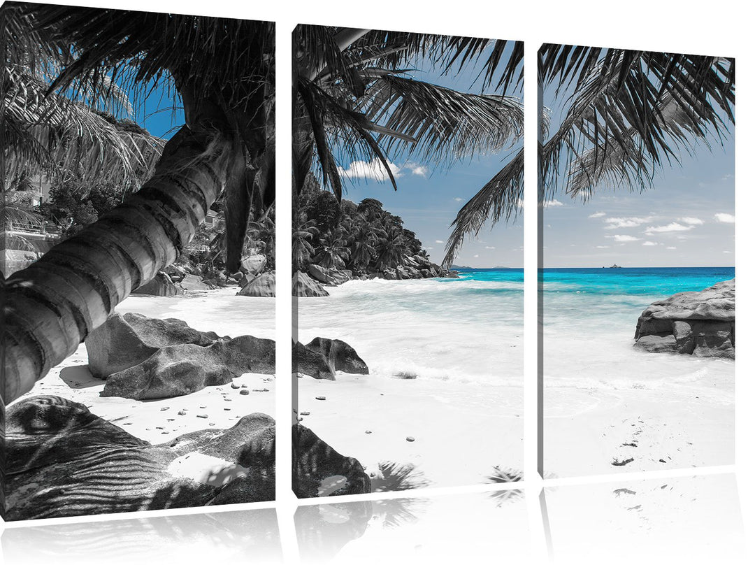 Pixxprint Palmenstrand Seychellen als Leinwandbild | Grösse: 3 Teilig (120x80) | Wandbild| Kunstdruc
